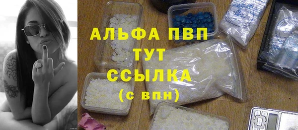 прущие грибы Пестово