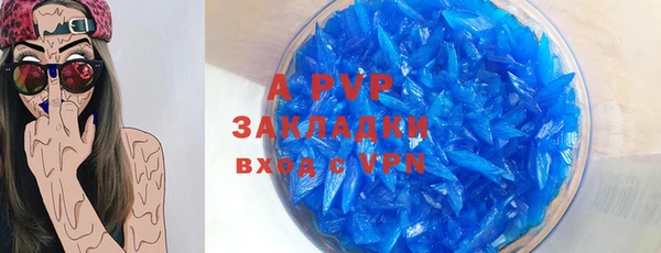 прущие грибы Пестово